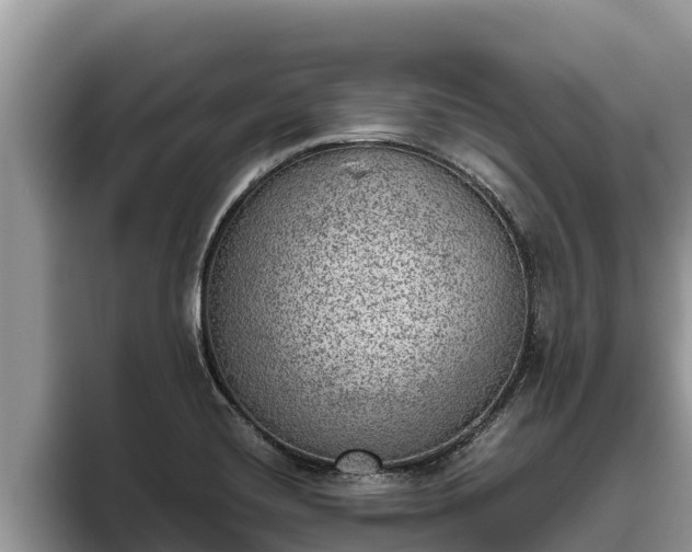 X0000095891420200801181216