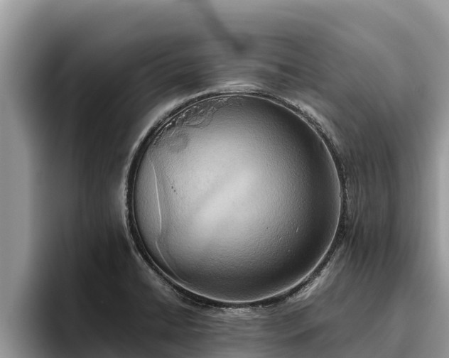 X0000095891422200801181216