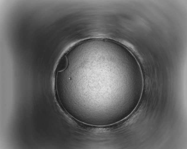 X0000095891424200801181216