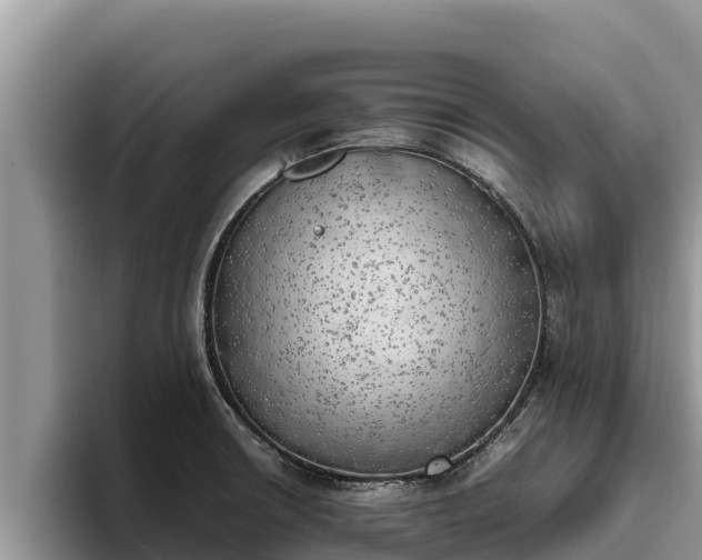 X0000095891426200801181216