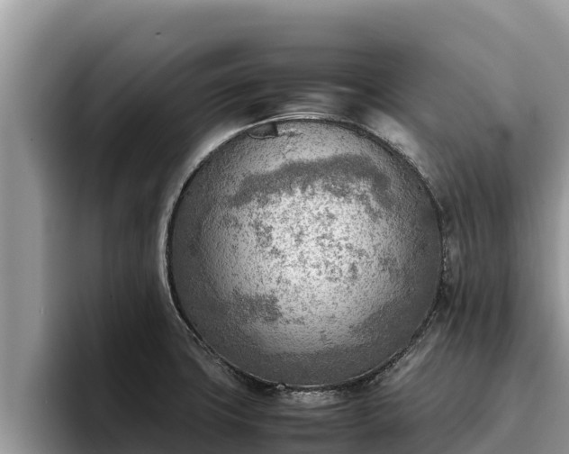 X0000095891427200801181217