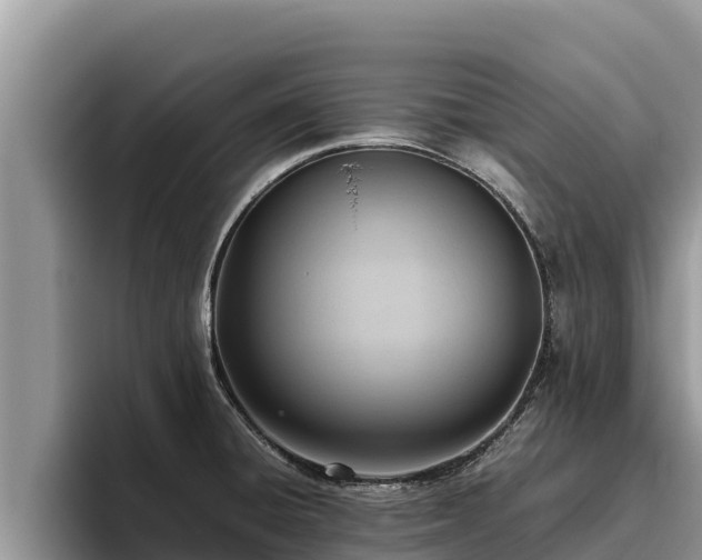 X0000095891428200801181217