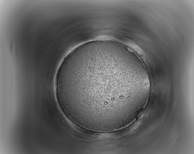 X0000095891430200801181217
