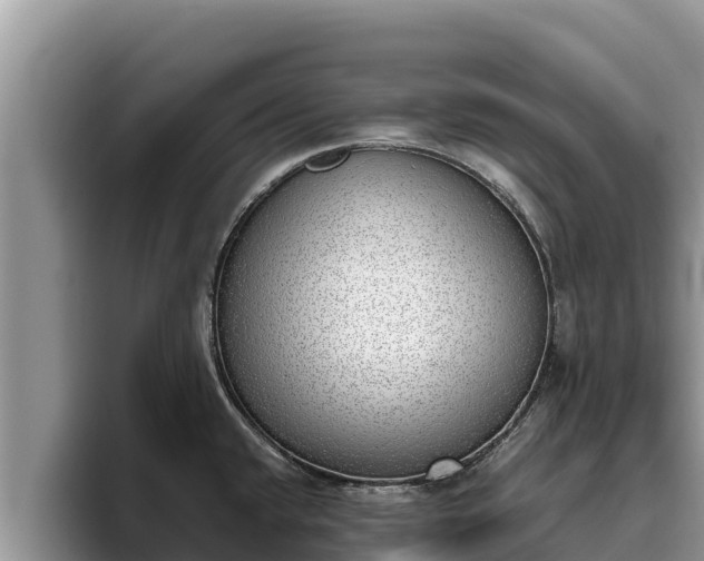 X0000095891432200801181217