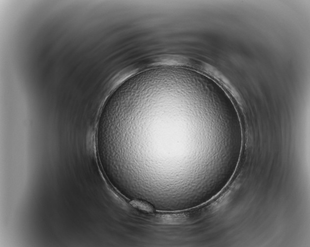 X0000095891433200801181217