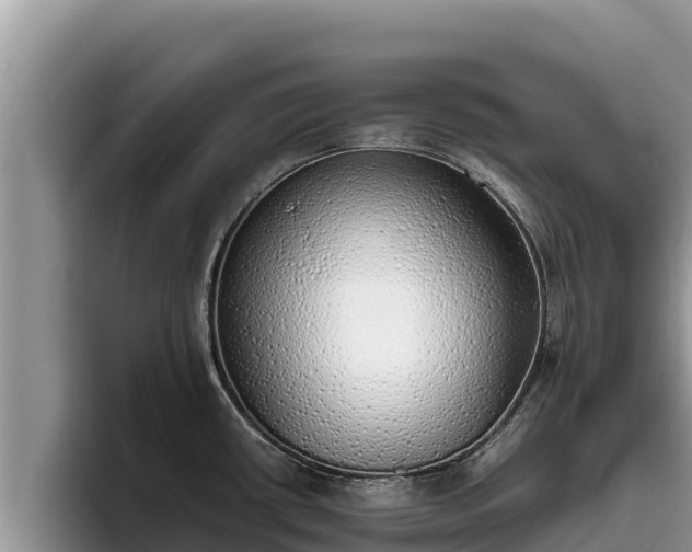 X0000095891434200801181217