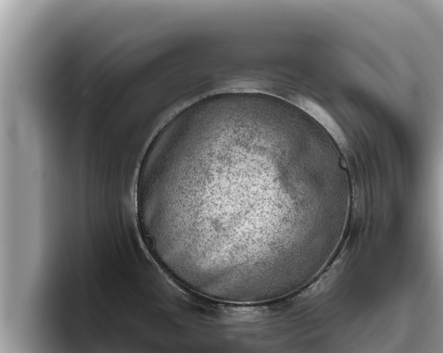 X0000095891436200801181217