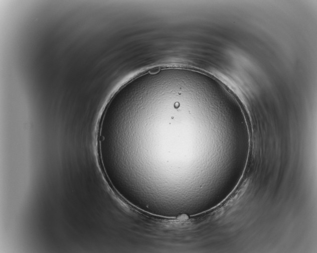 X0000095891437200801181217