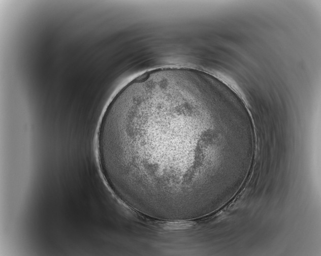 X0000095891440200801181217