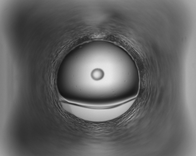 X0000095891441200801181216
