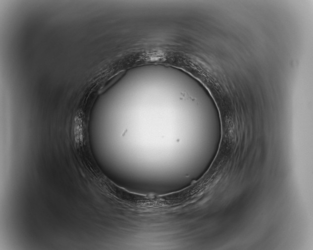 X0000095891442200801181216