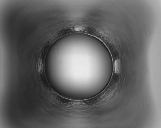 X0000095891443200801181216