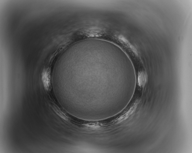 X0000095891444200801181216