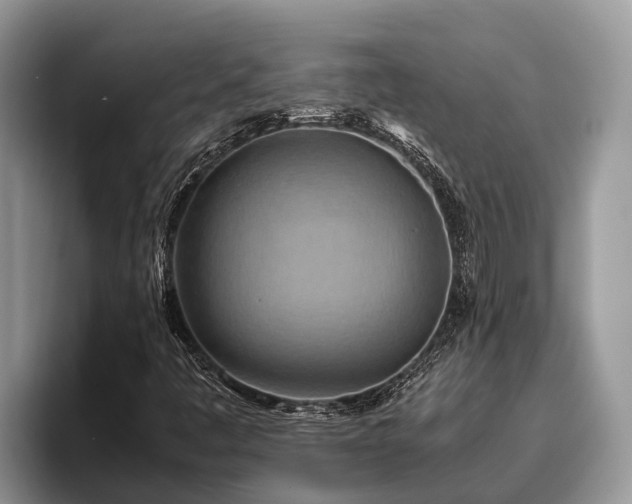 X0000095891445200801181216