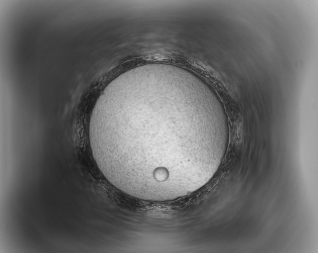X0000095891446200801181216