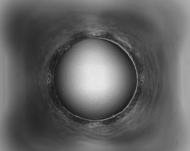 X0000095891447200801181216