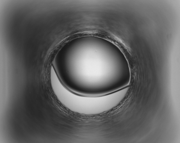 X0000095891448200801181216