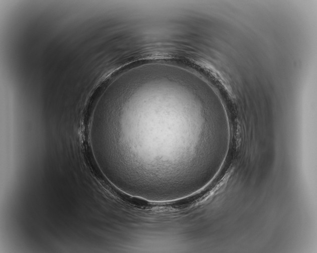 X0000095891449200801181216