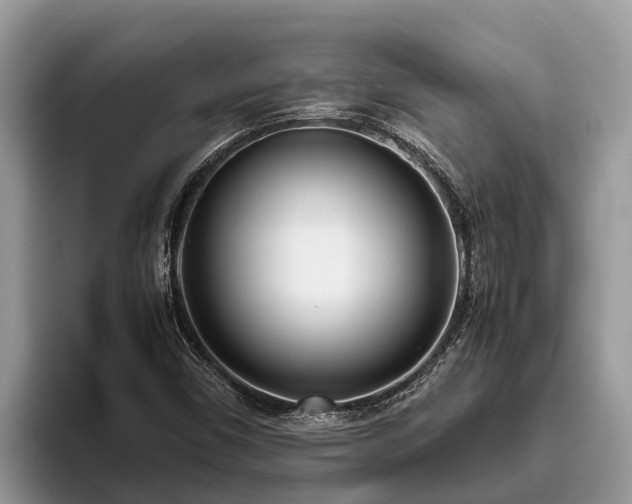 X0000095891450200801181216