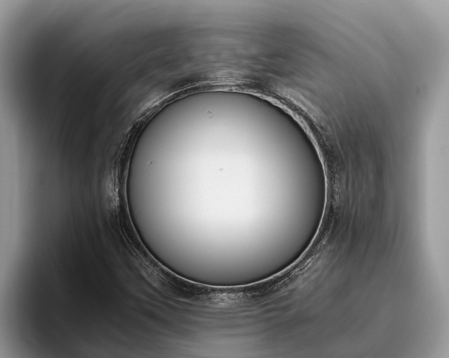 X0000095891451200801181216