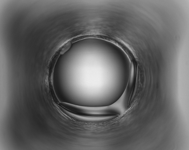 X0000095891452200801181216