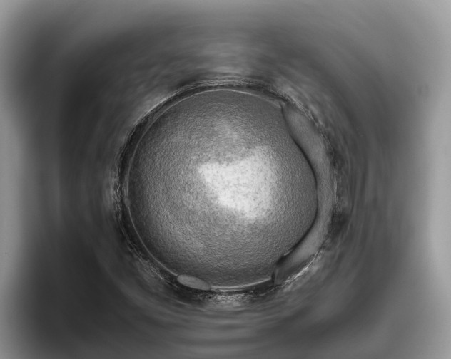X0000095891453200801181216