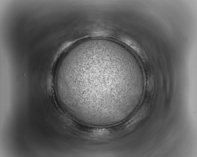 X0000095891454200801181216
