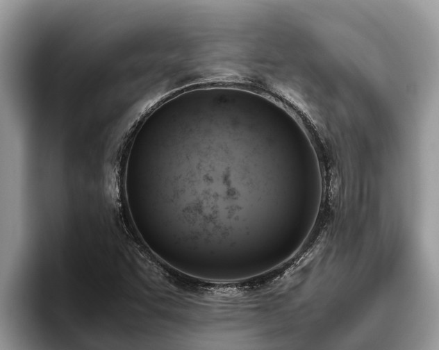 X0000095891455200801181216