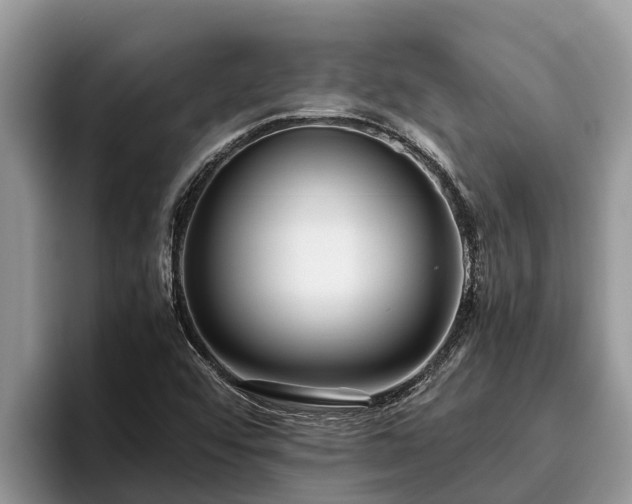 X0000095891456200801181216