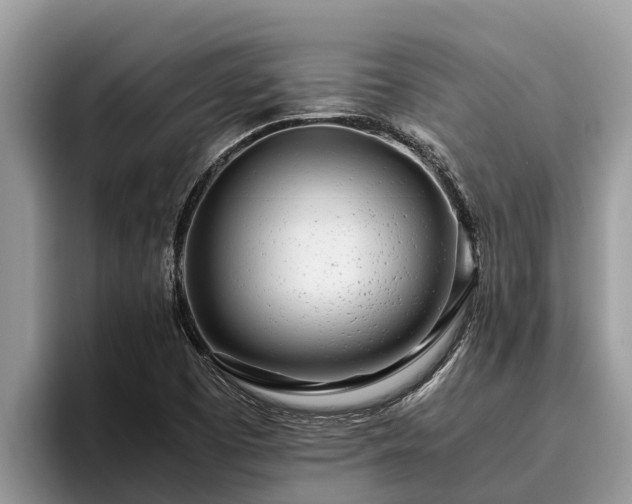 X0000095891457200801181216