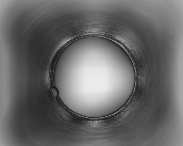 X0000095891458200801181216