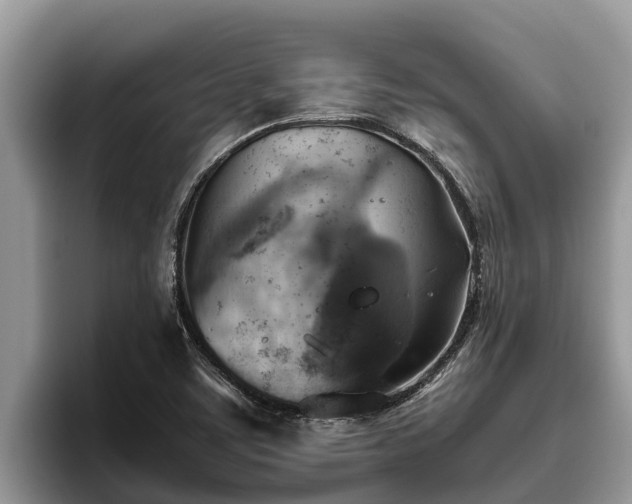 X0000095891459200801181216