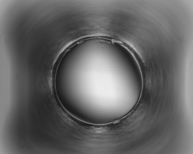 X0000095891460200801181216