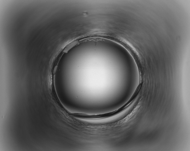 X0000095891461200801181216