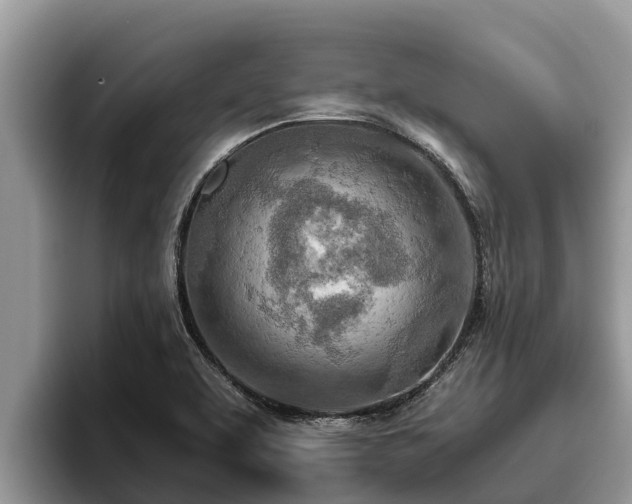 X0000095891463200801181216