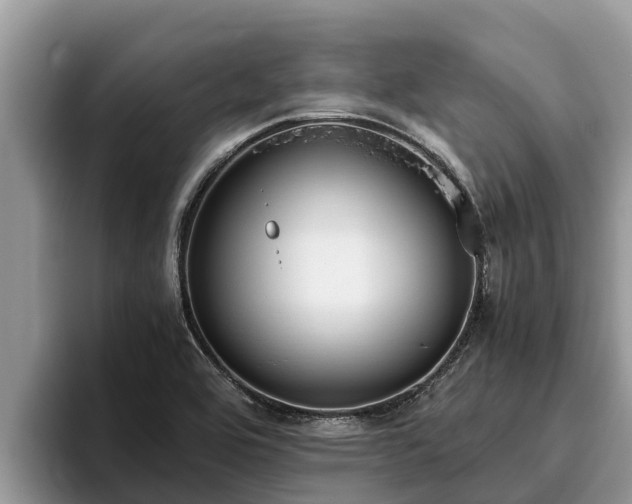 X0000095891464200801181216