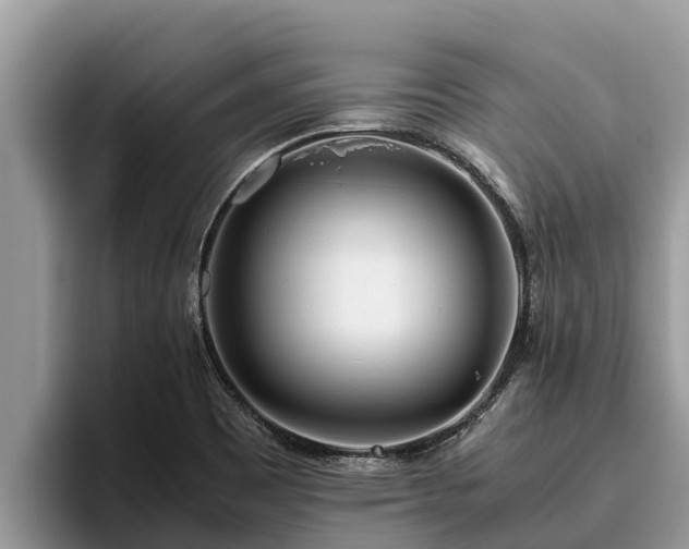 X0000095891465200801181216