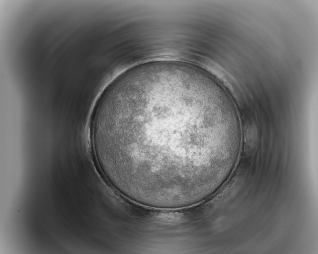 X0000095891466200801181216
