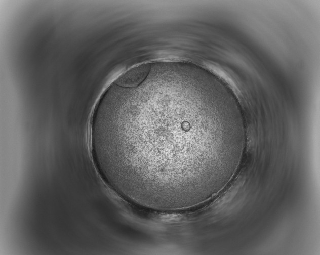 X0000095891467200801181216