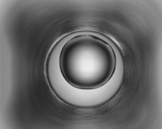 X0000095891468200801181216