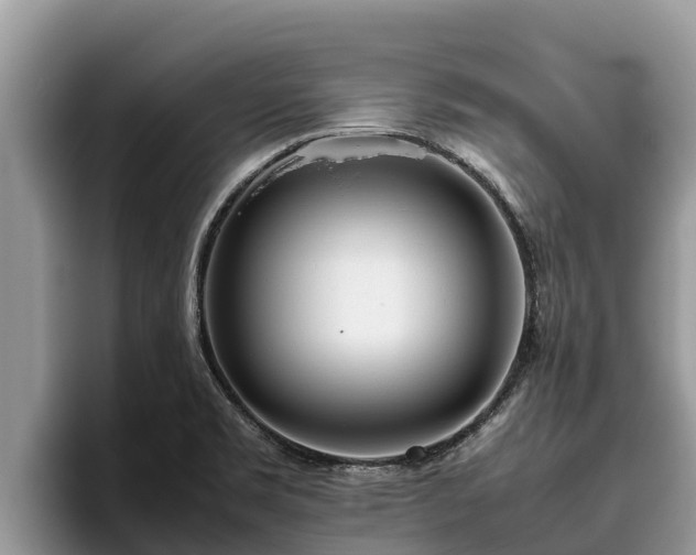 X0000095891469200801181216