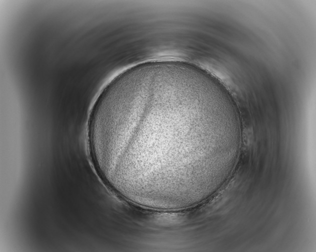 X0000095891470200801181216
