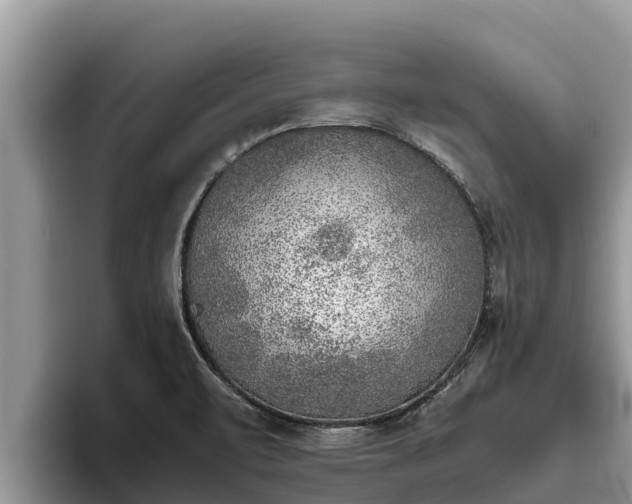 X0000095891471200801181216