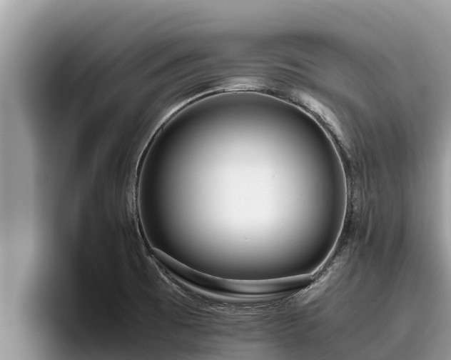 X0000095891473200801181216