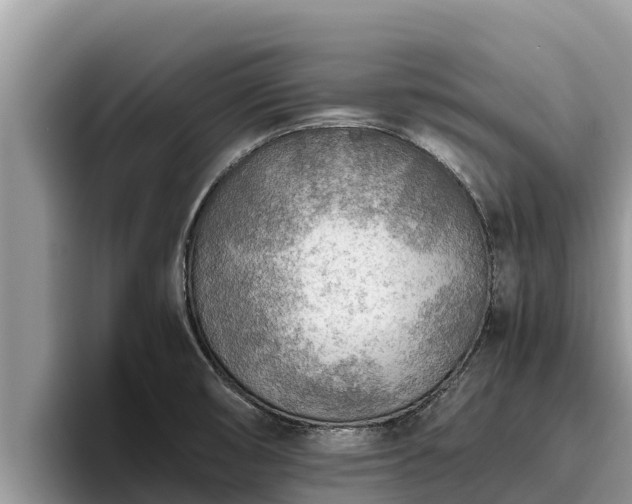 X0000095891474200801181216