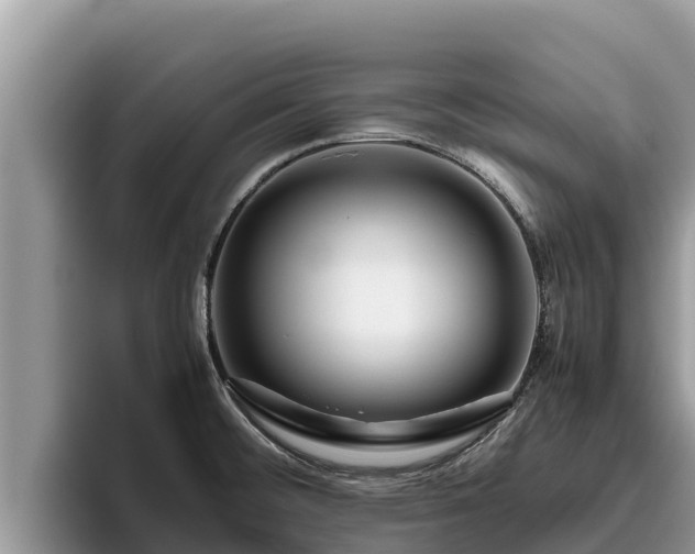 X0000095891476200801181216
