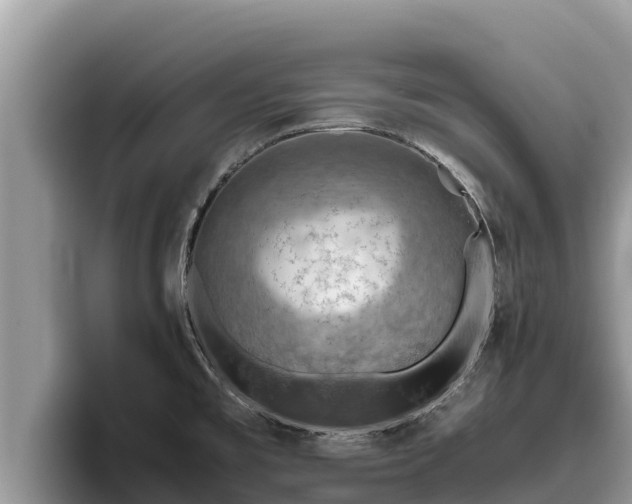 X0000095891477200801181216