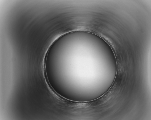 X0000095891479200801181216