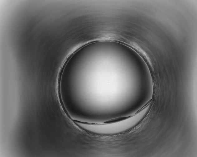 X0000095891480200801181216