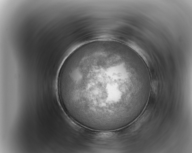 X0000095891482200801181216